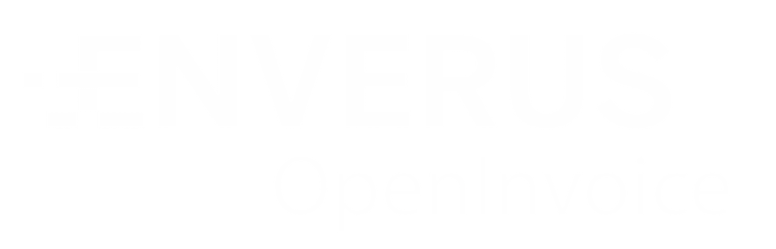 EnverusInvoice